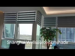 Vidéo de la scène des stores de zèbre